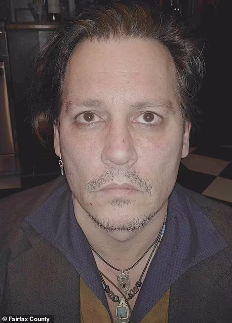 24088446-10719671-As_part_of_Depp_s_50m_defamation_case_against_Heard_he_included_-a-41_1649955769835