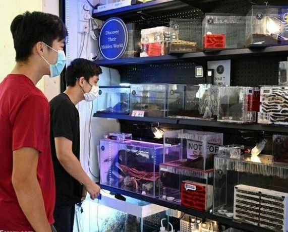 IMG_20201005_173505_564