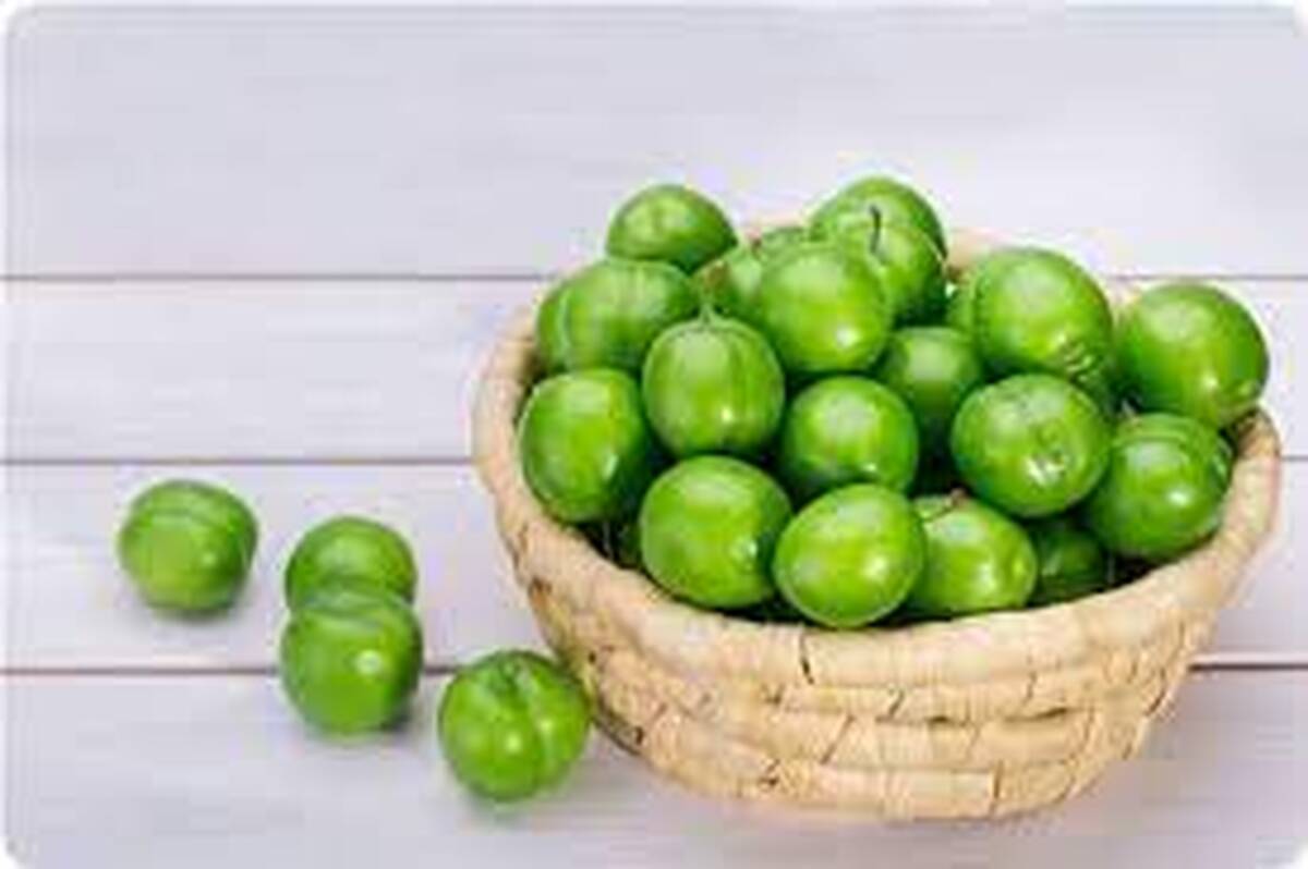 مصرف گوجه‌سبز برای این افراد ممنوع! | این افراد نباید لب به گوجه سبز بزنند!