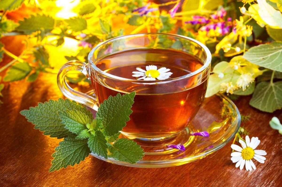 آیا به دنبال لاغری هستید؟| معرفی 6 دمنوش برای کاهش اشتها