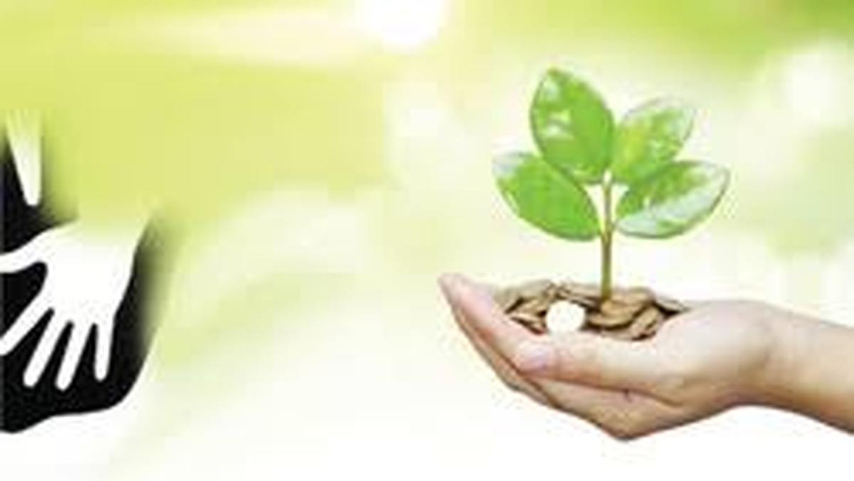 ۵ نکته درباره هرزه‌نگاری فقر و آسیب‌هایش